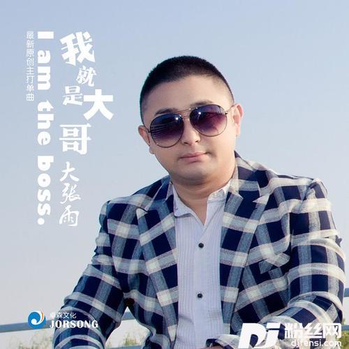 我就是大哥DJ版的专辑