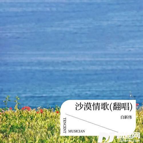 听说爱情回来过cover:孙露