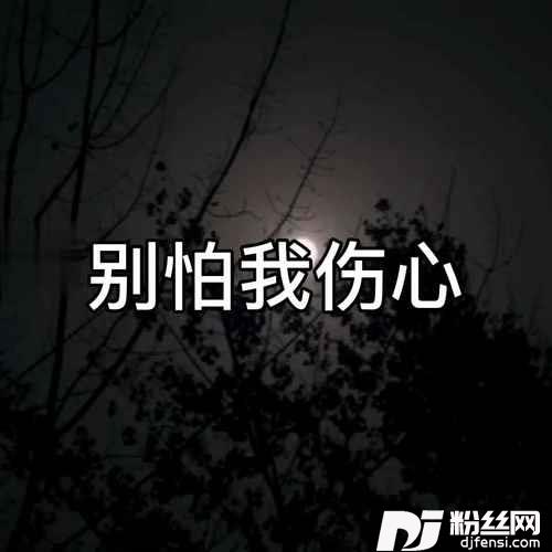 别怕我伤心DJ尼保版