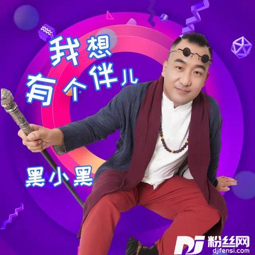 我想有个伴（DJ默涵）