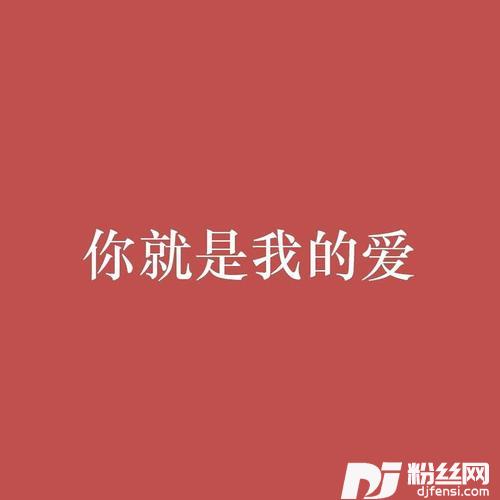 你就是我的爱的专辑