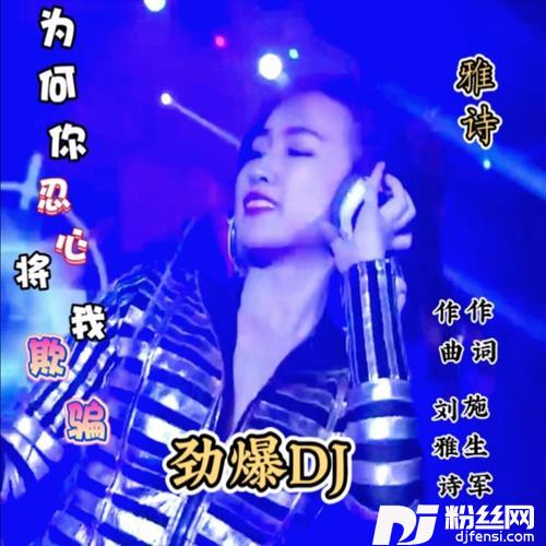 为何你忍心将我欺骗劲爆DJ舞曲