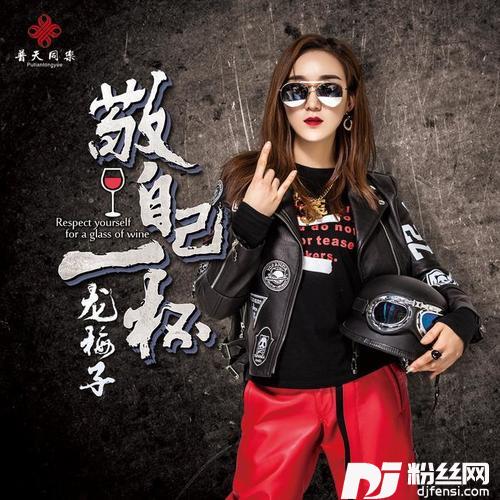 敬自己一杯DJ何鹏版的专辑
