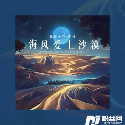 海风爱上沙漠的专辑