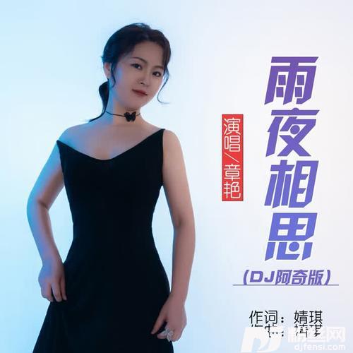 雨夜相思（DJ阿奇版）的专辑