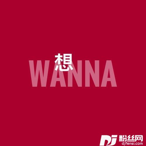 白日梦小姐的专辑