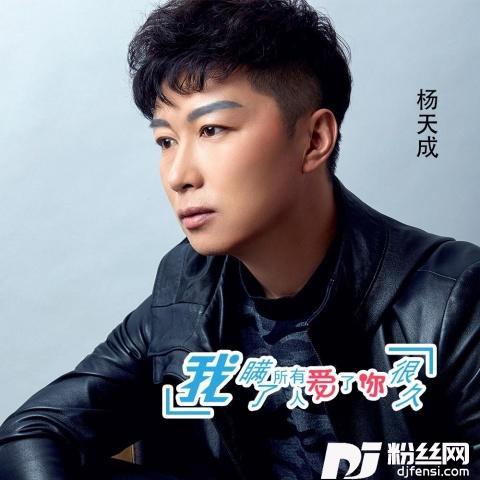 我瞒了所有人爱了你很久的专辑