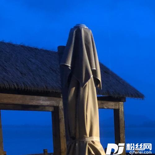 今后不要再担心
