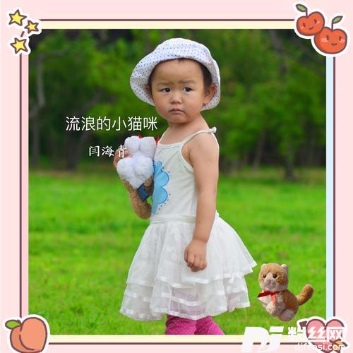 流浪的小猫咪