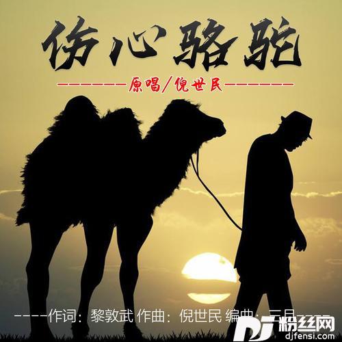 伤心骆驼