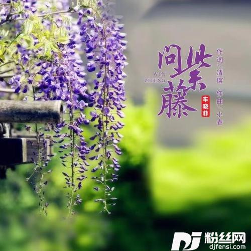 问紫藤