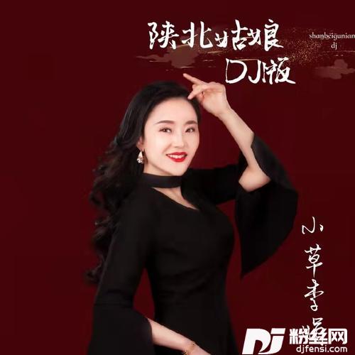 陕北姑娘（DJ默涵版）