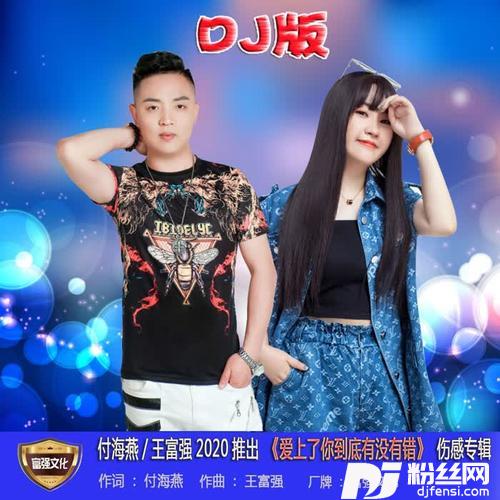 爱上了你到底有没有错（DJ版）的专辑