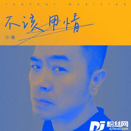 不该用情的专辑