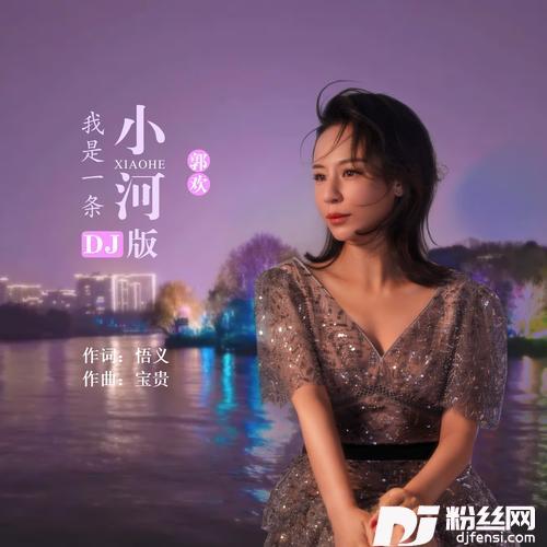 我是一条小河（DJ默涵版）