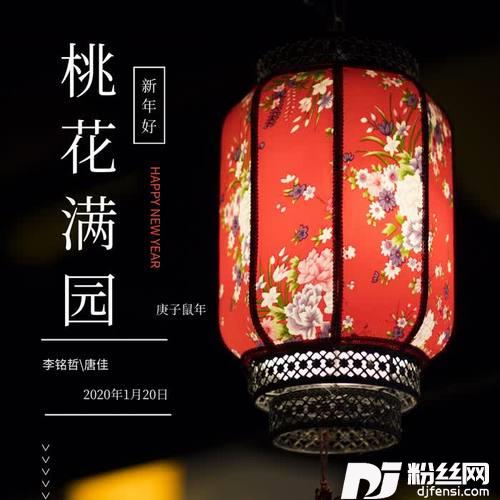 桃花满园新春好
