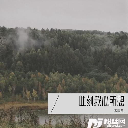 此刻我心所想的专辑