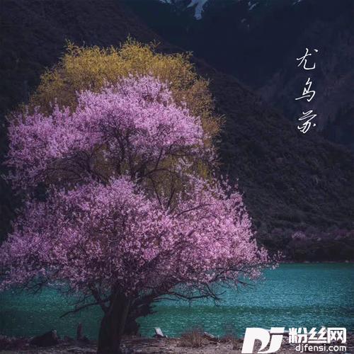 尤乌苏