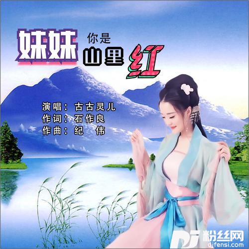 妹妹你是山里红DJ何鹏版的专辑