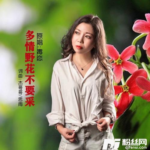 多情野花不要采