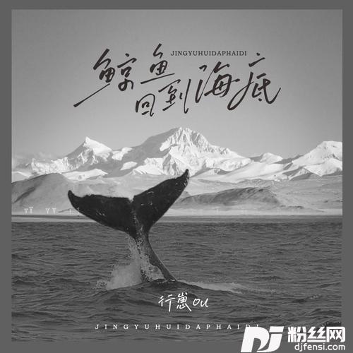 鲸鱼回到海底