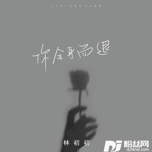 你全身而退DJ版