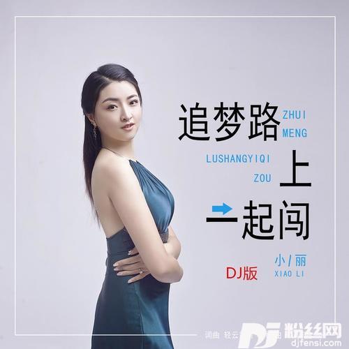追梦路上一起闯DJ何鹏版