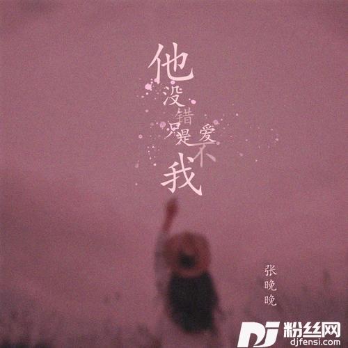 他没错只是不爱我DJHouse版
