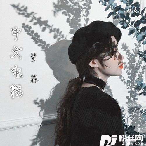 迎着风向前冲DJ梦菲版