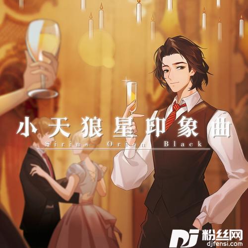 【哈利波特·人物印象曲】小天狼星·布莱克