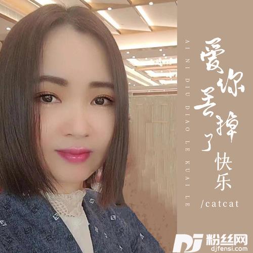爱你丢掉了快乐DJ彭锐版的专辑