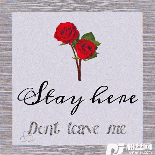 Stayhere的专辑