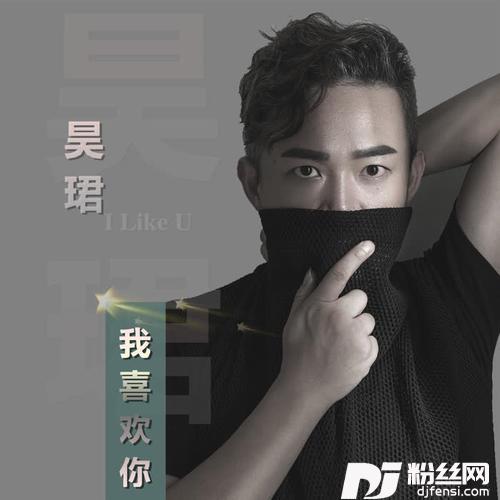 我喜欢你DJ（何鹏版）