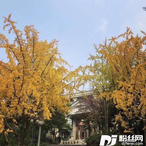 风吹不散笑容DJ版的专辑