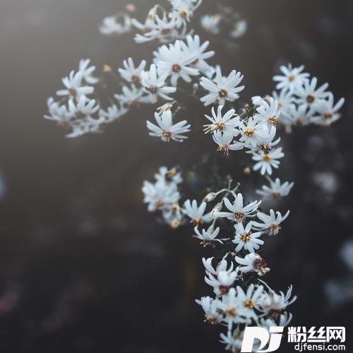 我要把所有关于我们的记忆删个遍抖音热播版