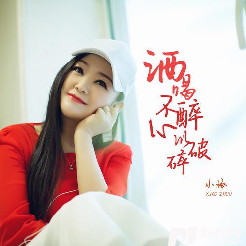 酒喝不醉心已破碎DJ版