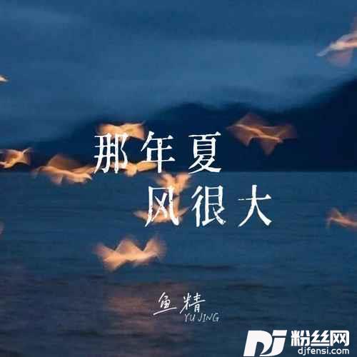 那年夏风很大的专辑