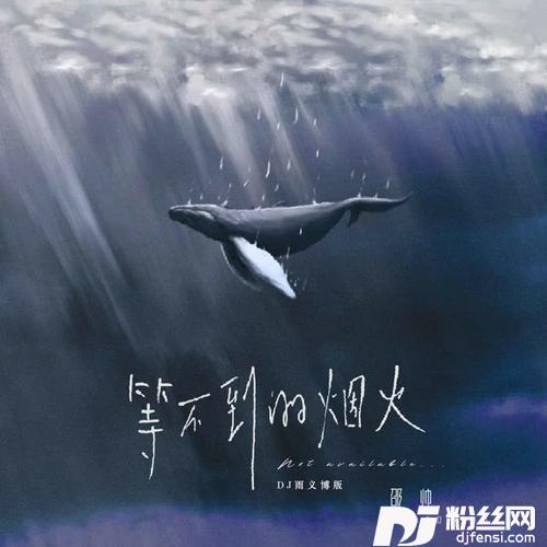 等不到的烟火DJ雨义博版