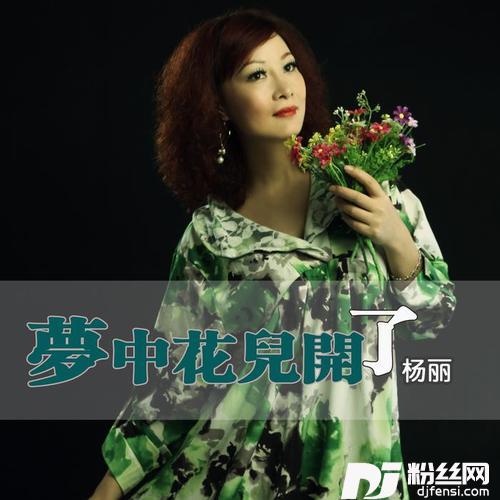 甘愿为着你的专辑