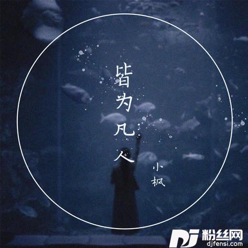 皆为凡人