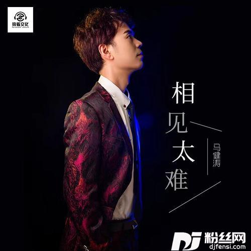 相见太难DJ版