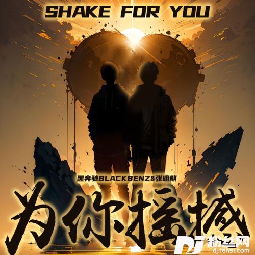 为你摇撼