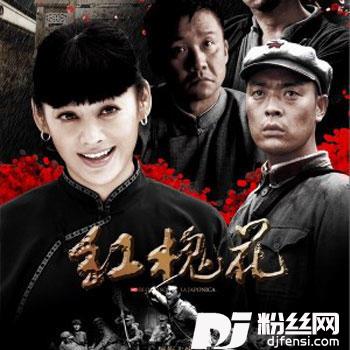 红槐花音乐