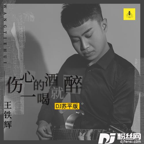 伤心的酒一喝就醉DJ苏平版