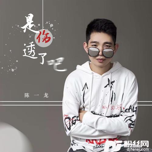 是伤透了吧DJ沈念版的专辑