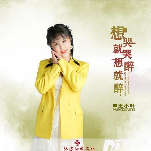 想哭就哭想醉就醉DJ版