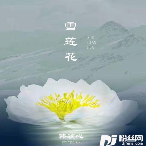 雪莲花DJ