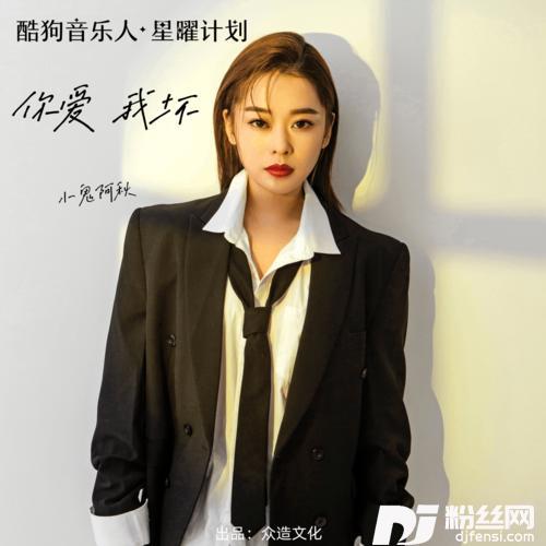 你爱我坏DJ沈念版的专辑