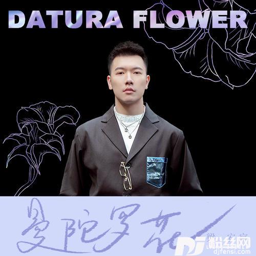 曼陀罗花