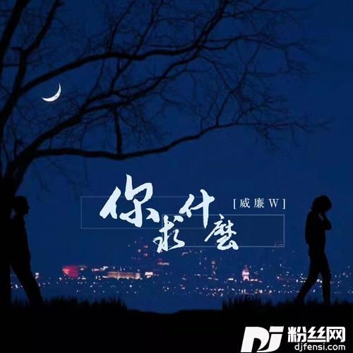 你求什么DJ版的专辑